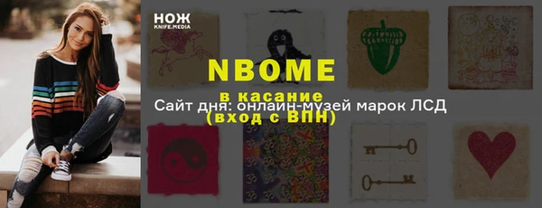 шишки Баксан